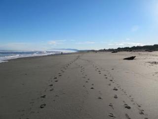 Shining Star Beachfront Accommodation Hokitika Εξωτερικό φωτογραφία